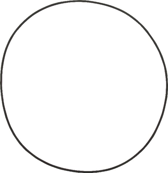 O-ring - John Deere - O-ringe Dana - 001051037