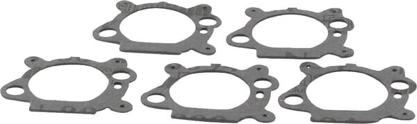 Luftrenserpakning til Briggs & Stratton - 5 x 795629 - 4156