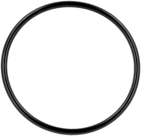 O-ring 55x3,1 - AL-KO - O-ringe - 463554