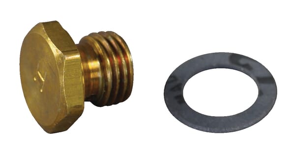 Dyse - 493869 - Briggs & Stratton