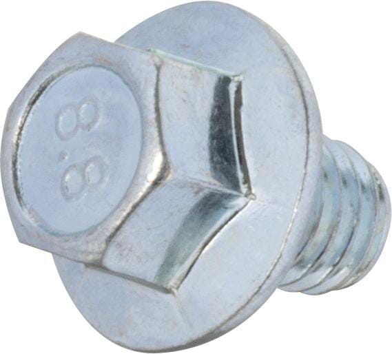 Skrue - 590683 - Briggs & Stratton