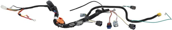 Ledningsnet - 593866 - Briggs & Stratton
