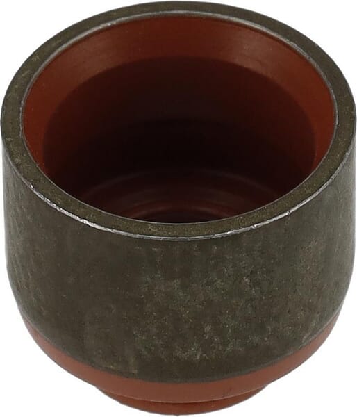 Ventil pakning - BS - VentilerBriggs & Stratton - 597316