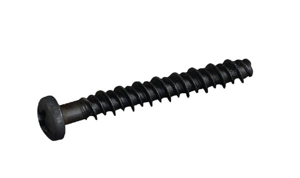 Screw - 690700 - Briggs & Stratton