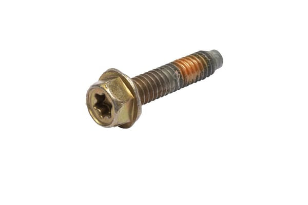 Skrue - 691689 - Briggs & Stratton