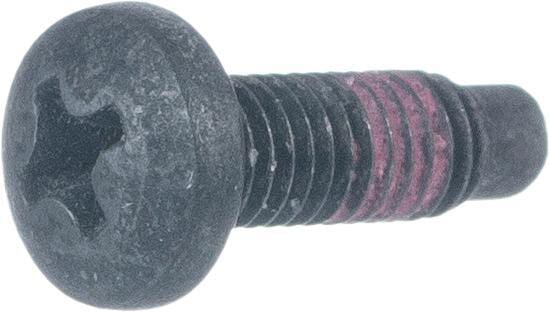 Skrue - 790029 - Briggs & Stratton