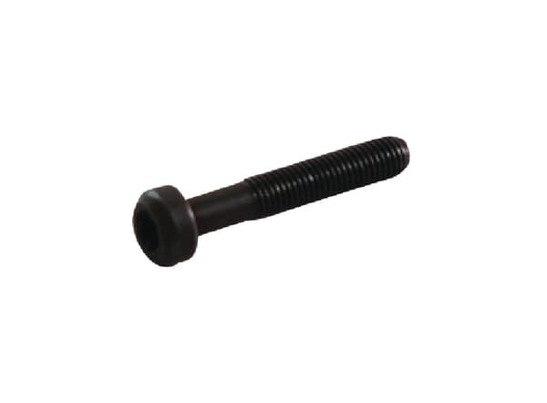 Screw - 791118 - Briggs & Stratton