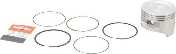 Briggs & Stratton Stempel komplet standard - 799535.