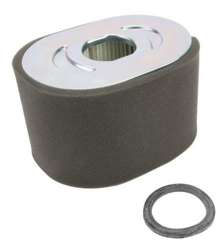 Luftrensefilter - 799818 - Briggs & Stratton