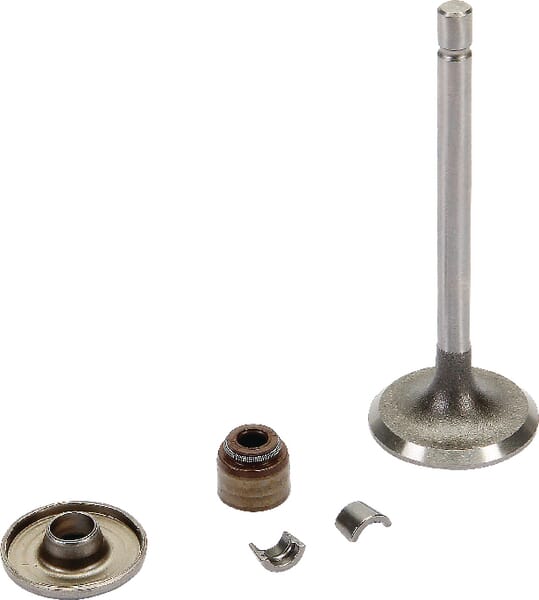 Indsugningsventil - Briggs & Stratton - Ventiler - 843751