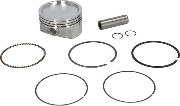 Stempelenhed - Briggs & Stratton - Stempel - 843805